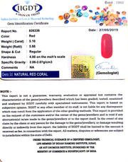 5.10/CT Natural Italian Moonga